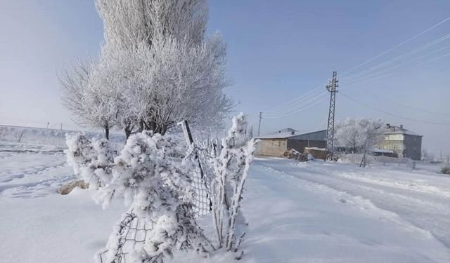 Van'ın iki ilçesi eksi 20 dereceyi gördü