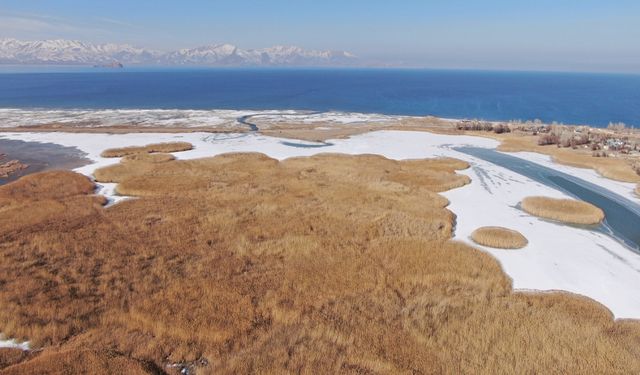 Dilkaya sazlığı, kartpostallık görüntülere sahne oldu