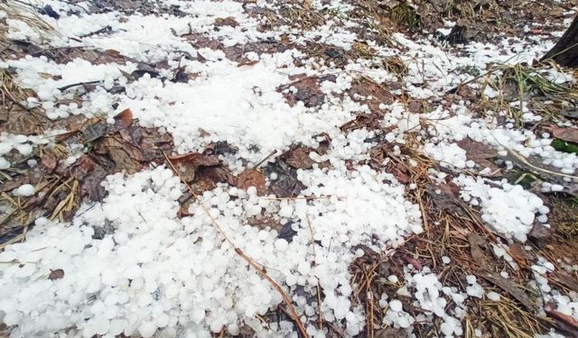 Bitlis’te dolu yağışı etkisini gösterdi