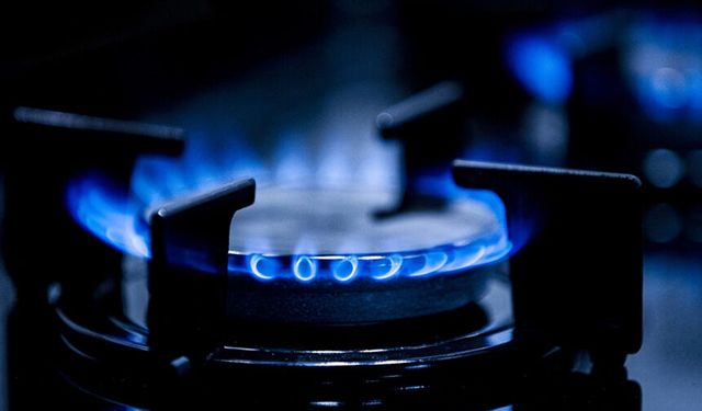 Van’da doğal gaz tüketiminin yüzde 74’ü konutlarda!