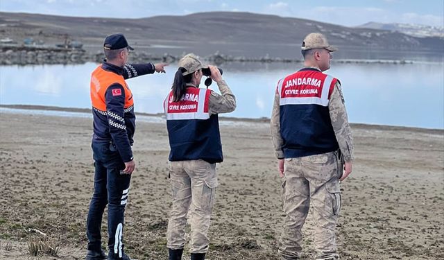 jandarma, inci kefalini korumak için çalışma başlattı