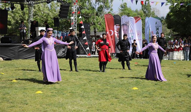 Van'da uçan balık festivali başladı