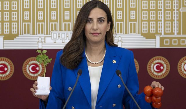 Vanlı milletvekili partisinden istifa etti