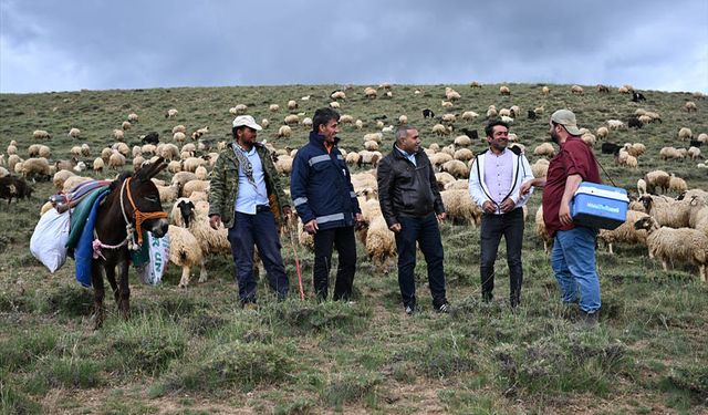 Van'da veteriner hekimler kilometrelerce yol katediyor
