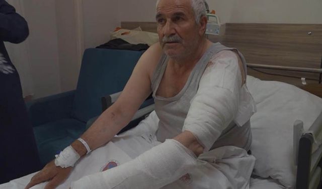Van'da ot biçen vatandaş kurdun saldırısına uğradı