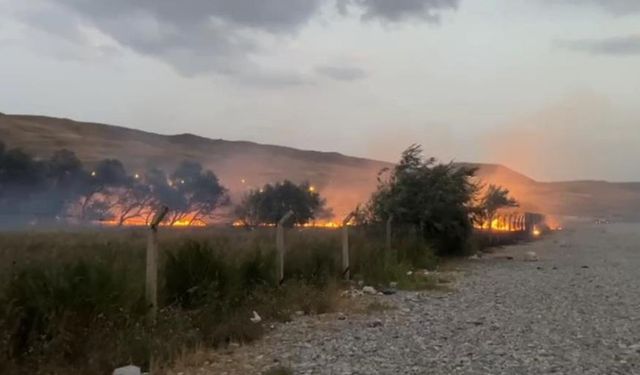 Van'da ağaçlık alanda yangın