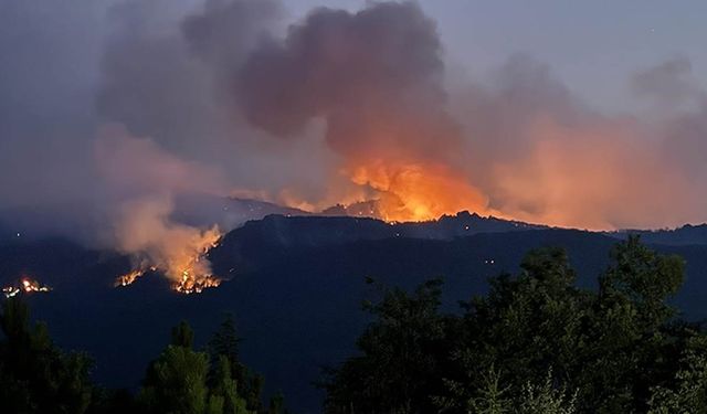 Eskişehir'de orman yangını: 10 şehit!