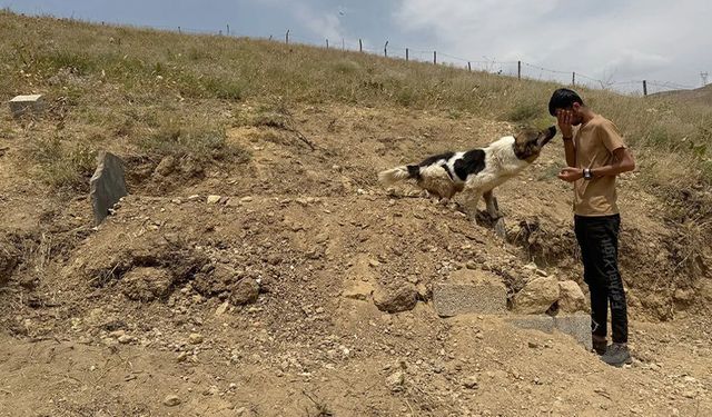 Mezar başında vefa nöbeti
