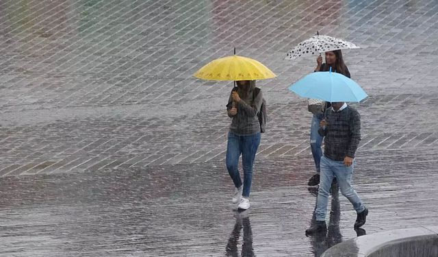 Van’ın bazı ilçelerinde yağış bekleniyor