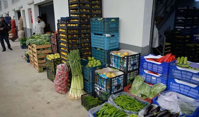 22 kalem sebze ve meyve alım işi