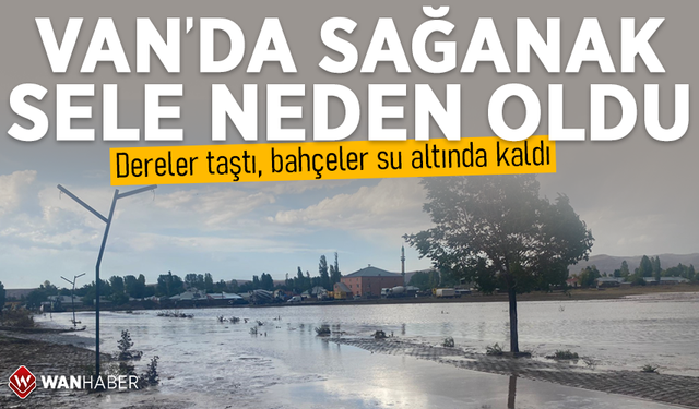 Van'da sağanak sele neden oldu! Dereler taştı, bahçeler su altında kaldı