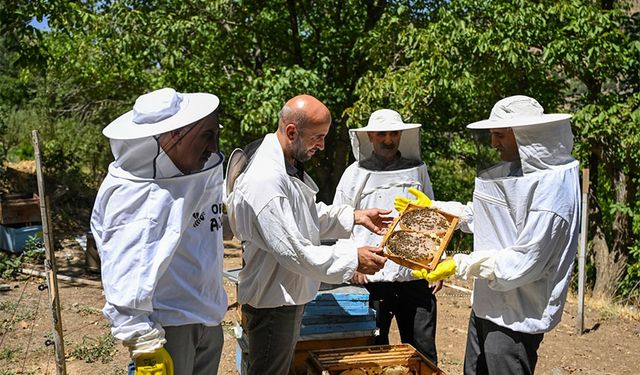 Vanlı arıcıların hasat sevinci