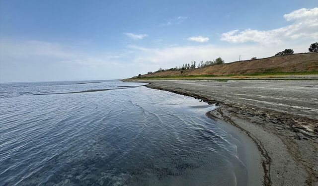 Van Gölü'nde korkulan oldu