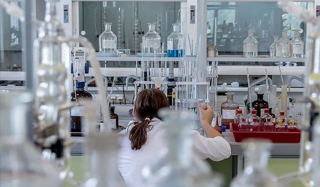 Kimya sektörü temmuzda rekor kırdı