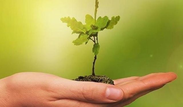 Meclis'ten "Sıfır Atık" Projesi'ne tam destek