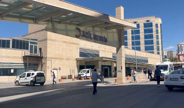 Ceviz toplarken ağaçtan düşüp öldü