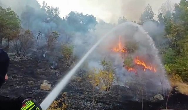 Hakkari'de 3 farklı bölgede çıkan yangın söndürüldü
