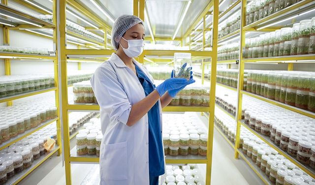 Türkiye AR-GE'ye rekor harcama yaptı