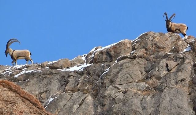 Prof. Aslan’dan ekolojik denge uyarısı