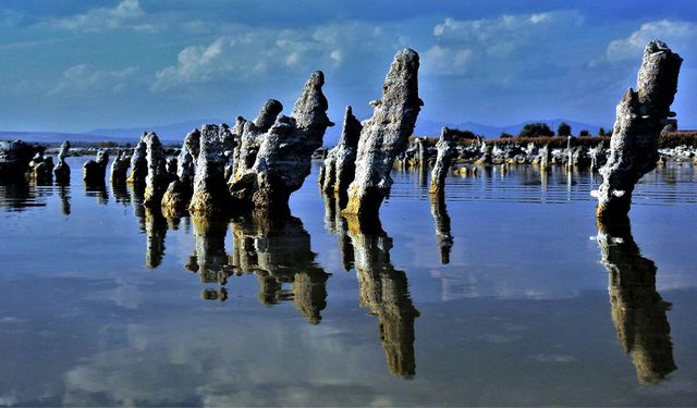 Van Gölü çekilince ortaya çıktı! Fotoğrafçılar büyük ilgi gösteriyor
