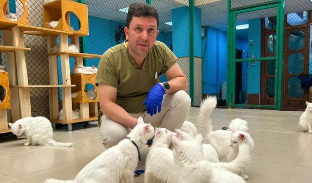 Van'da 30 yıllık emek