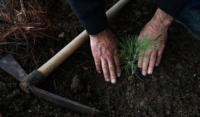 Kabine üyelerinden Yeşil Vatan Seferberliği'ne destek