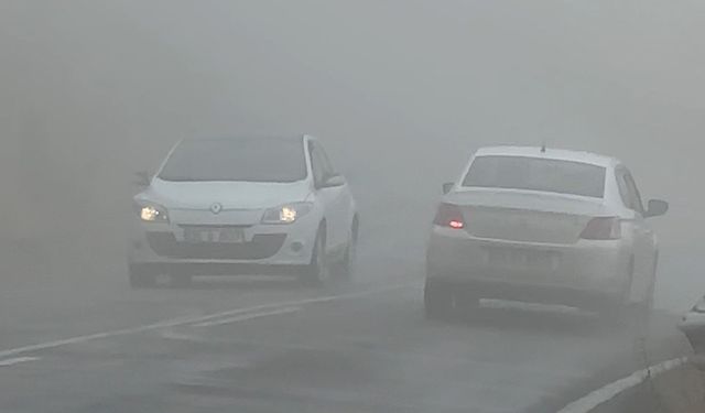 Yüksekova-Şemdinli kara yolunda yoğun sis