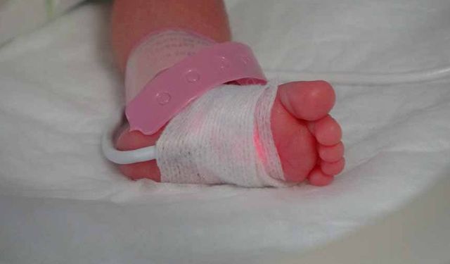 Van'da "aceleci bebekler" için özel etkinlik