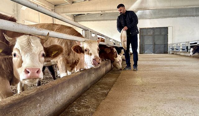 Van'da aldığı devlet desteğiyle besiciliği modern tesise taşıdı