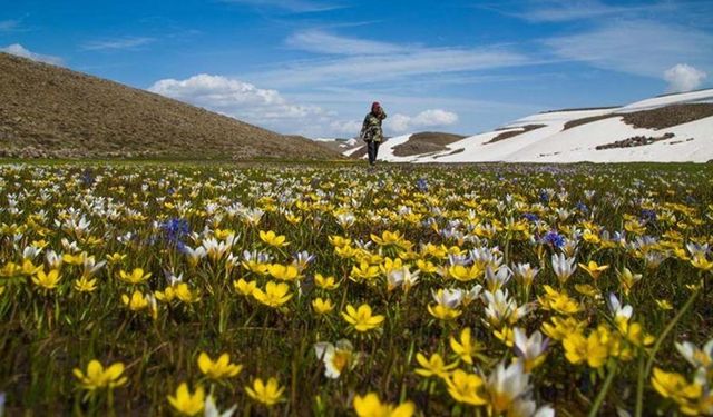 Türkiye'nin bitki bazlı gıdalardaki potansiyeli artıyor