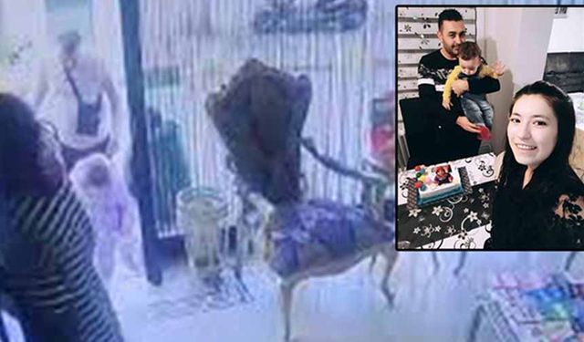 Böcek ailesinin ölüm nedeni belli oldu