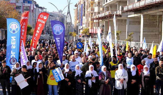 Van’da bölge mitingi düzenlendi