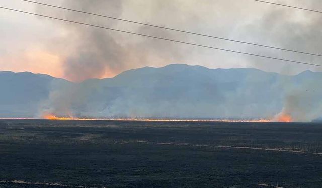 Yüksekova'da yangına havadan müdahale devam ediyor