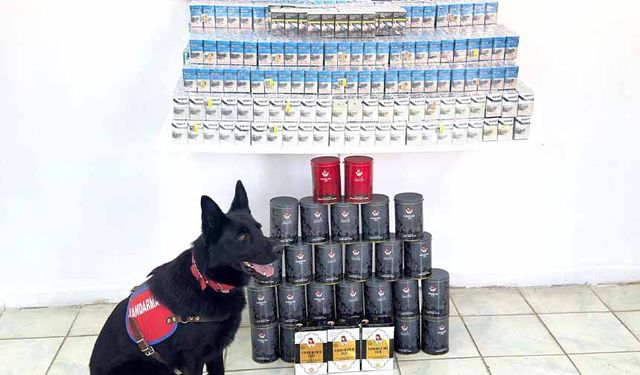 Van’da kaçak sigara ve çay ele geçirildi