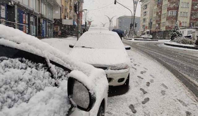 Hakkari'de mevsimin ilk karı yağdı