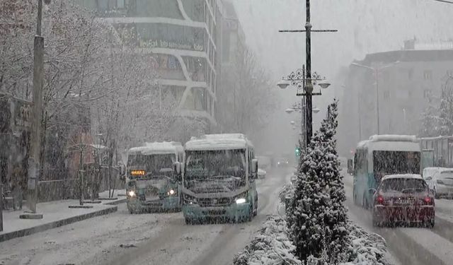 Van’da hava sıcaklığı düşüyor: Yağmur ve kar geliyor!