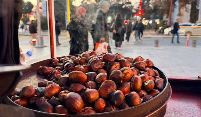 Kışın vazgeçilmezi kestane kansere karşı koruyor