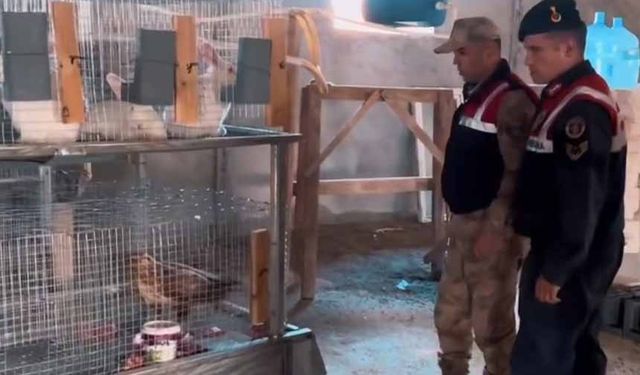 Van'da kızıl şahin operasyonu!