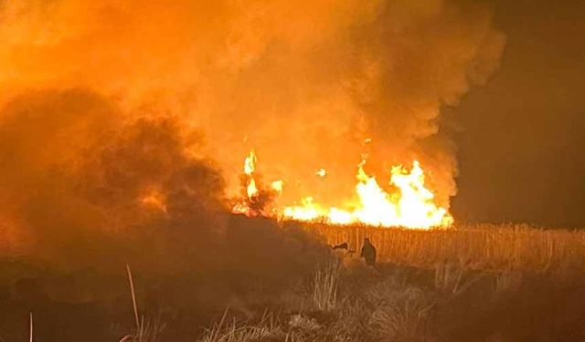 Hakkari'de kuş cennetinde yangın