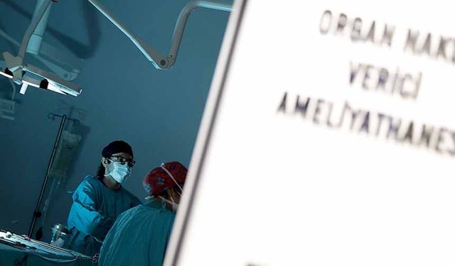 Türkiye'de organ nakli olmayı bekleyen kişi sayısı açıklandı