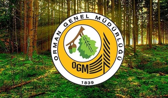 Orman Genel Müdürlüğüne 496 sözleşmeli personel alınacak