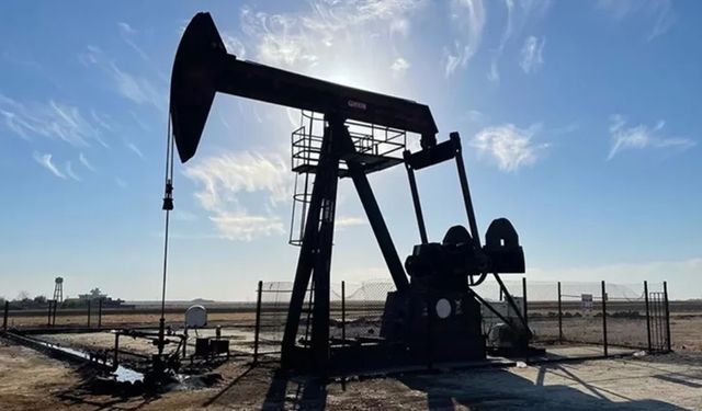 Petrol devlerinin 10 aylık dönemindeki kârı azaldı