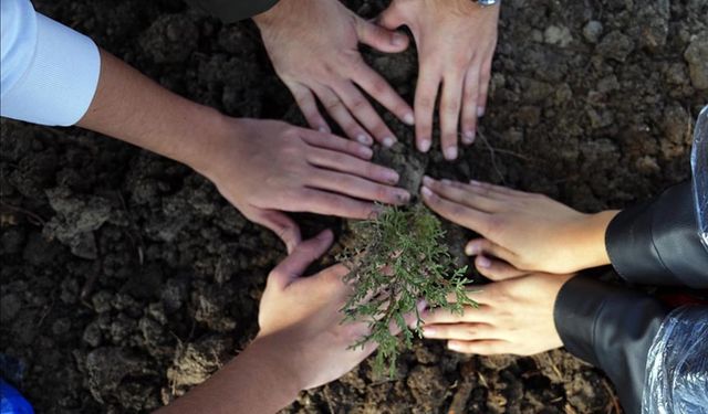 Bakan Yumaklı duyurdu: Çifte rekor kırıldı
