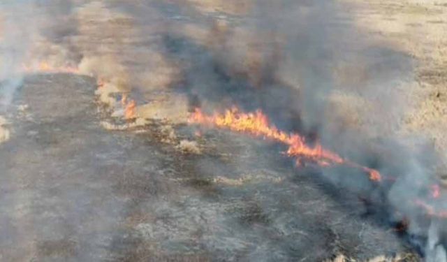 Van’da sazlık yangını