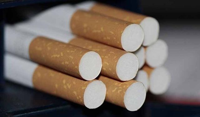 DSÖ: Tütün her yıl 7 milyon can alıyor