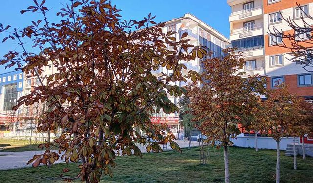 Van'da sonbahar güzelliği!