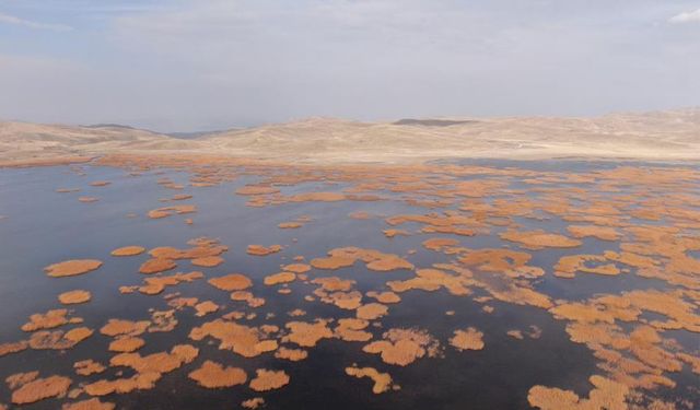 Van'da tarih ve doğa buluşması