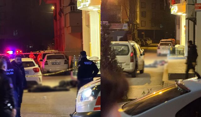 Van'da baba ile oğlunun öldürüldüğü silahlı kavgaya ilişkin yeni gelişme