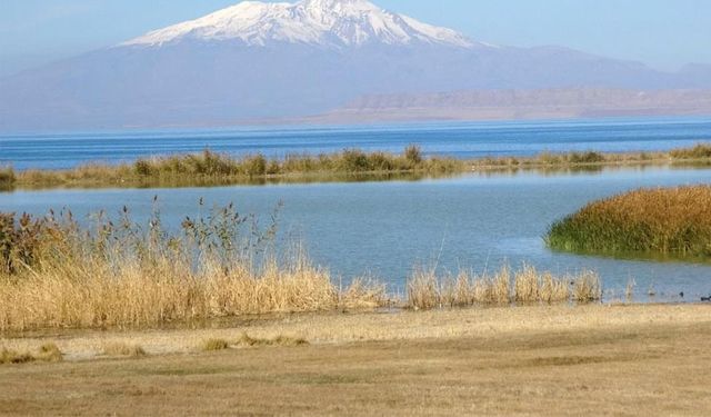Türkiye'nin en fazla sulak alanı Van Gölü Havzası'nda