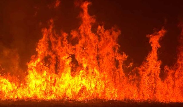 Yüksekova’daki yangın yerleşim yerlerini tehdit ediyor